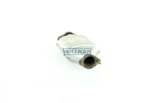 WALKER, Catalyseur