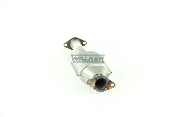 WALKER, Catalyseur