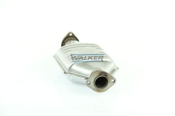 WALKER, Catalyseur