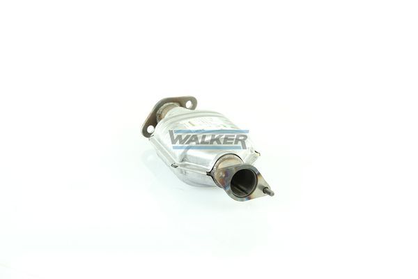 WALKER, Catalyseur