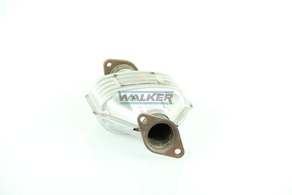 WALKER, Catalyseur