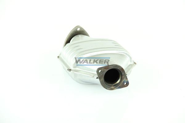 WALKER, Catalyseur