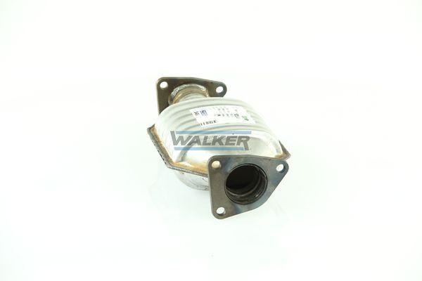 WALKER, Catalyseur