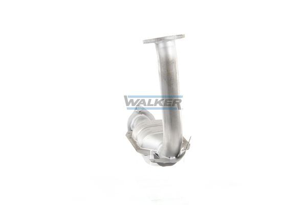 WALKER, Catalyseur