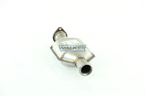 WALKER, Catalyseur