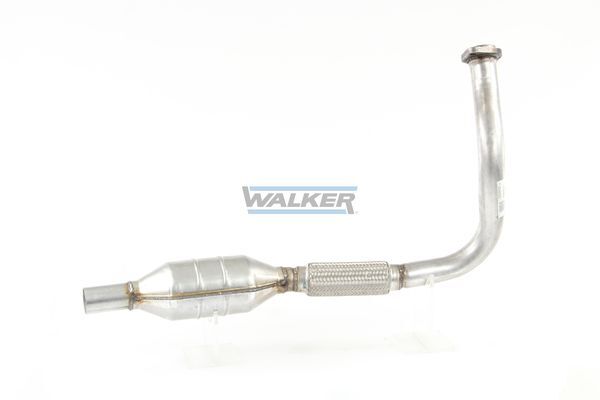 WALKER, Catalyseur