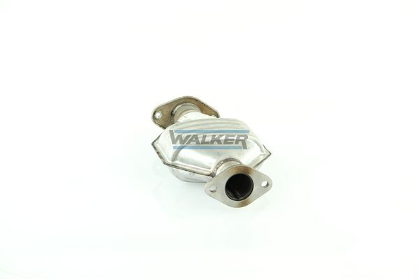 WALKER, Catalyseur