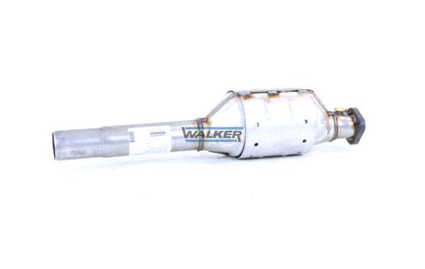 WALKER, Catalyseur