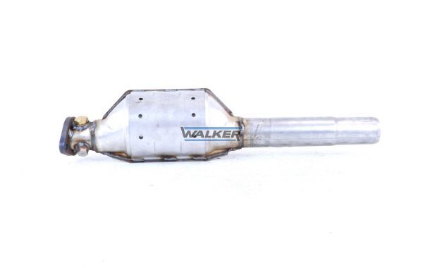 WALKER, Catalyseur