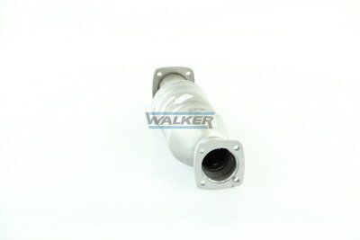 WALKER, Catalyseur