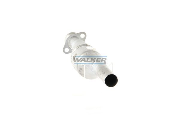 WALKER, Catalyseur