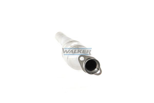 WALKER, Catalyseur