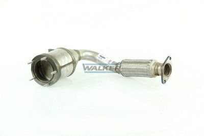 WALKER, Catalyseur