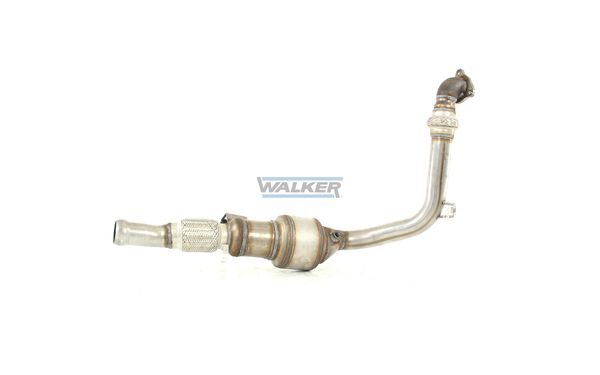 WALKER, Catalyseur