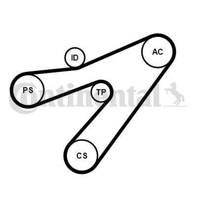 CONTINENTAL CTAM, Jeu de courroies trapézoïdales à nervures