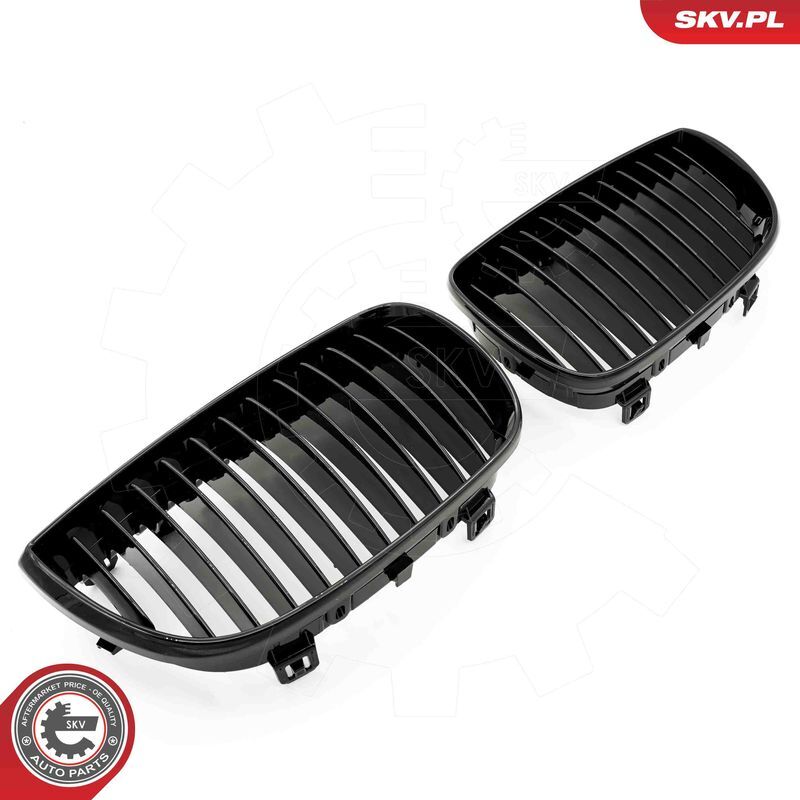 ESEN SKV, Grille de radiateur