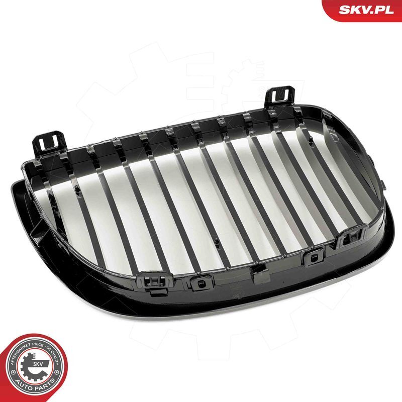 ESEN SKV, Grille de radiateur