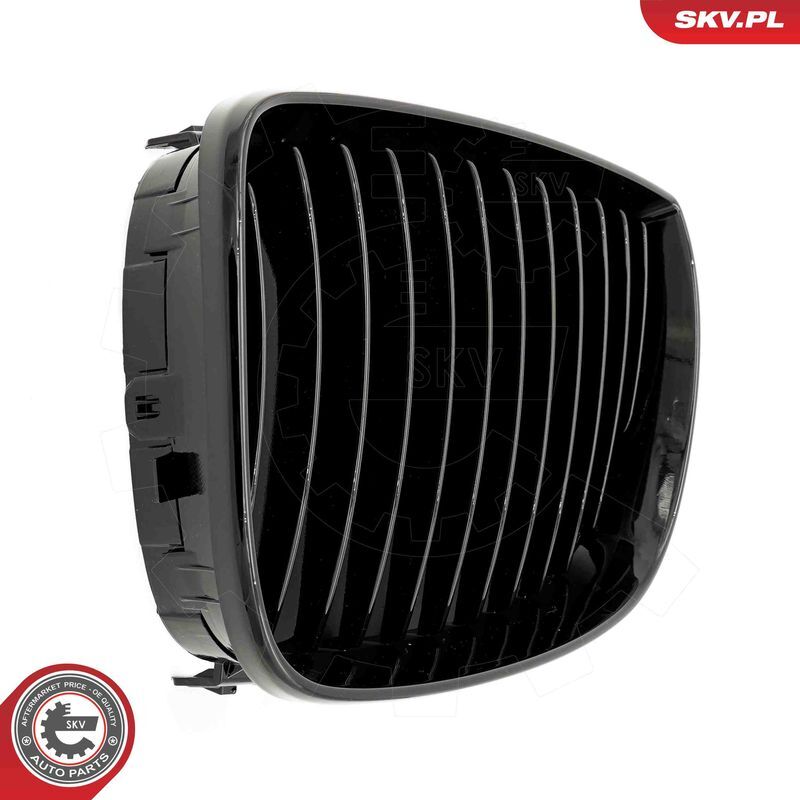 ESEN SKV, Grille de radiateur