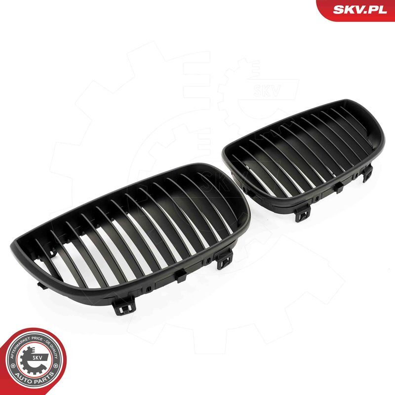 ESEN SKV, Grille de radiateur