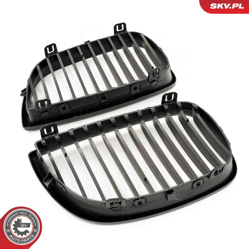 ESEN SKV, Grille de radiateur