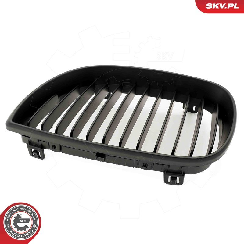 ESEN SKV, Grille de radiateur