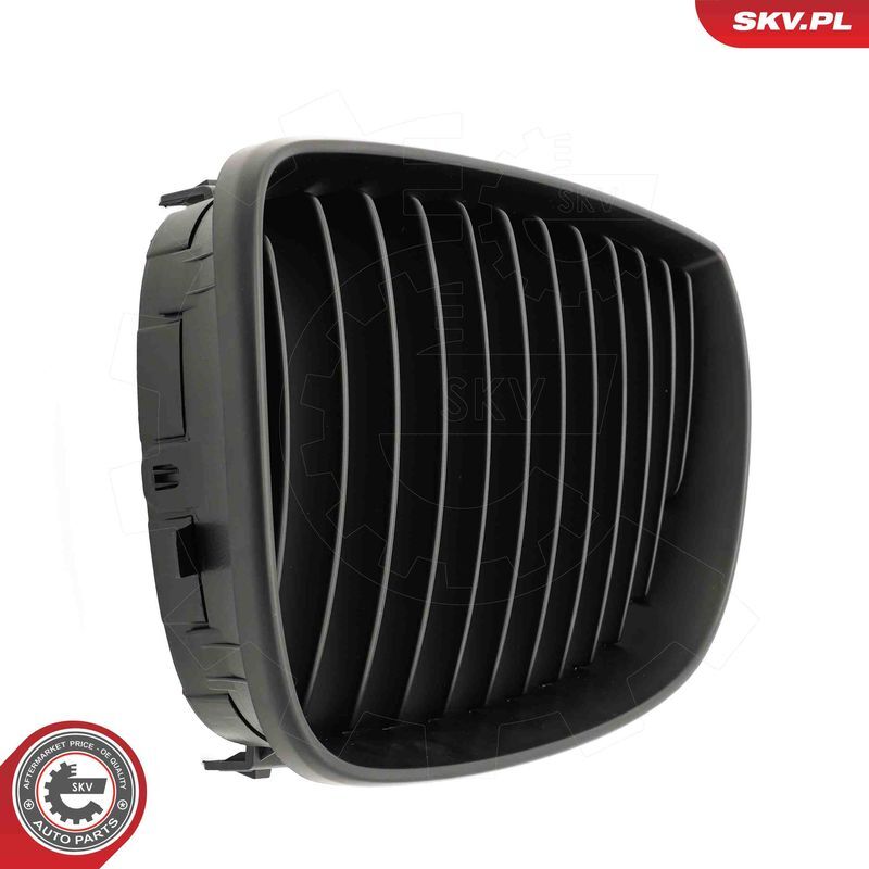 ESEN SKV, Grille de radiateur