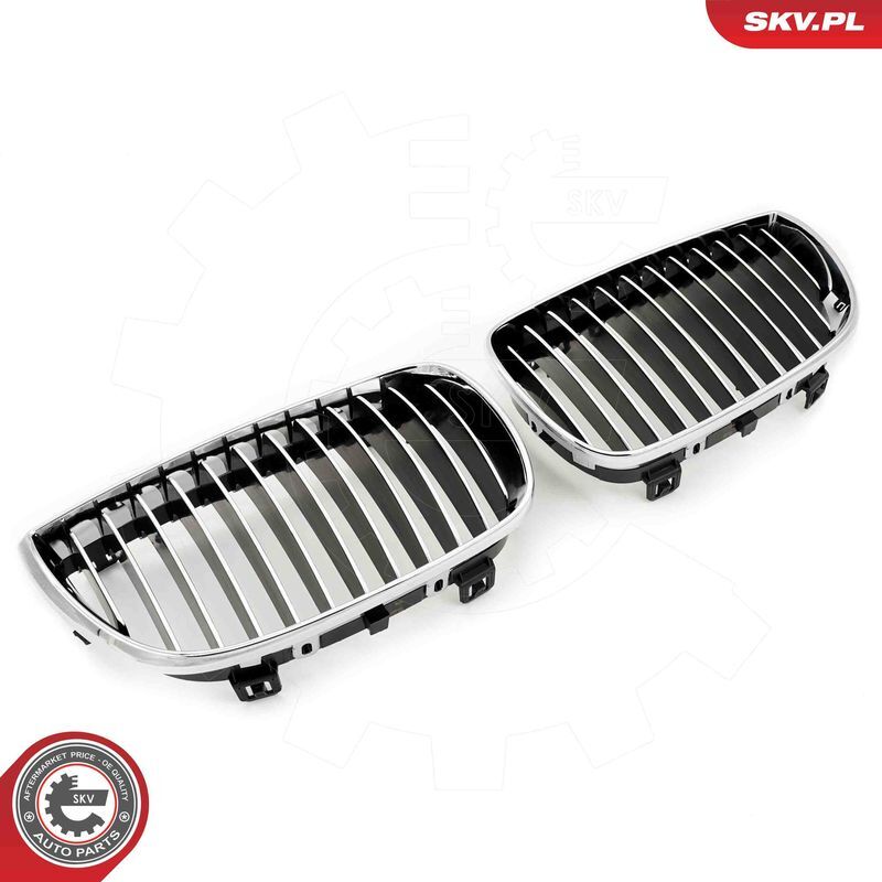 ESEN SKV, Grille de radiateur