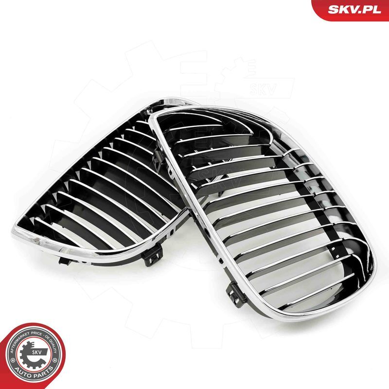 ESEN SKV, Grille de radiateur