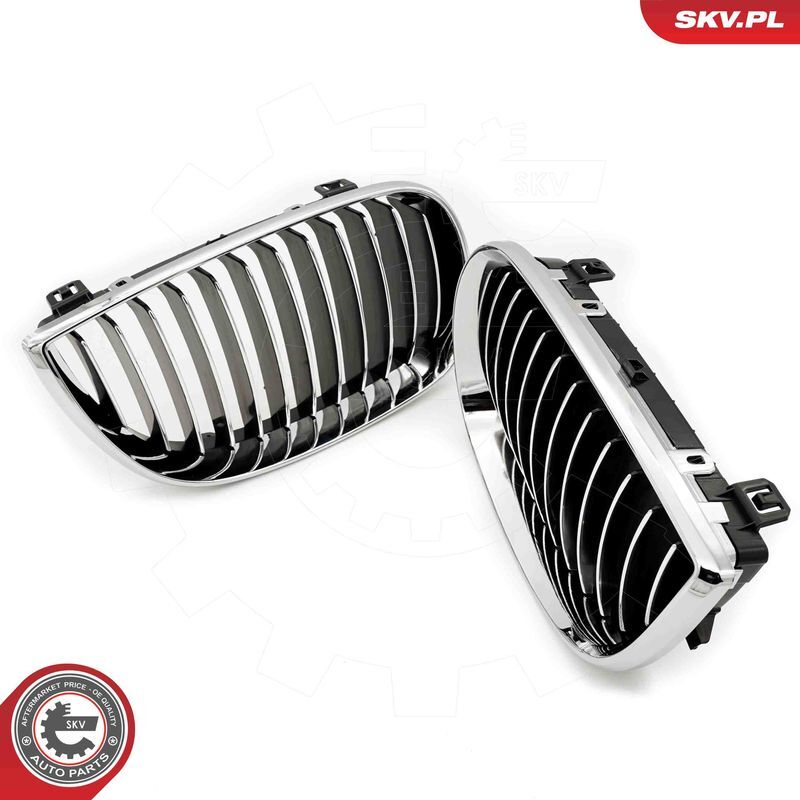 ESEN SKV, Grille de radiateur