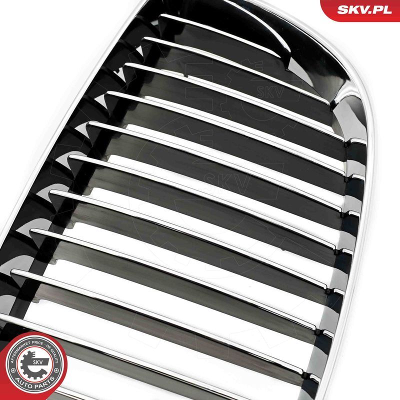 ESEN SKV, Grille de radiateur