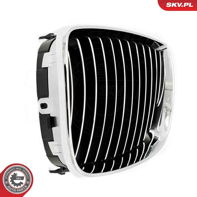 ESEN SKV, Grille de radiateur