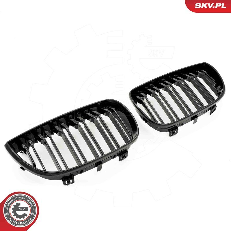 ESEN SKV, Grille de radiateur