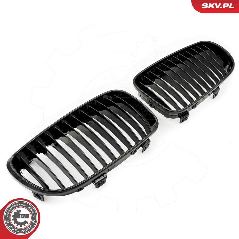 ESEN SKV, Grille de radiateur