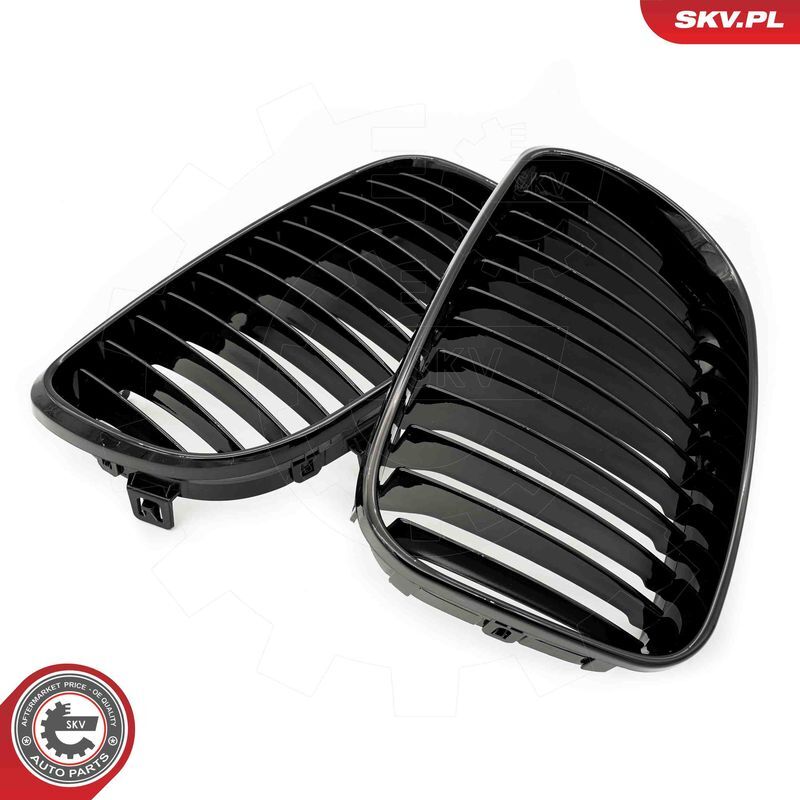 ESEN SKV, Grille de radiateur