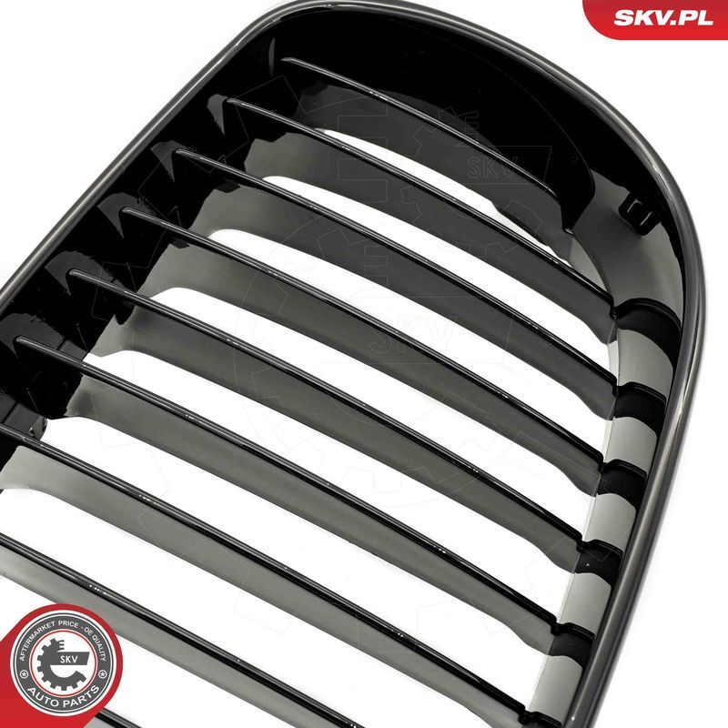 ESEN SKV, Grille de radiateur