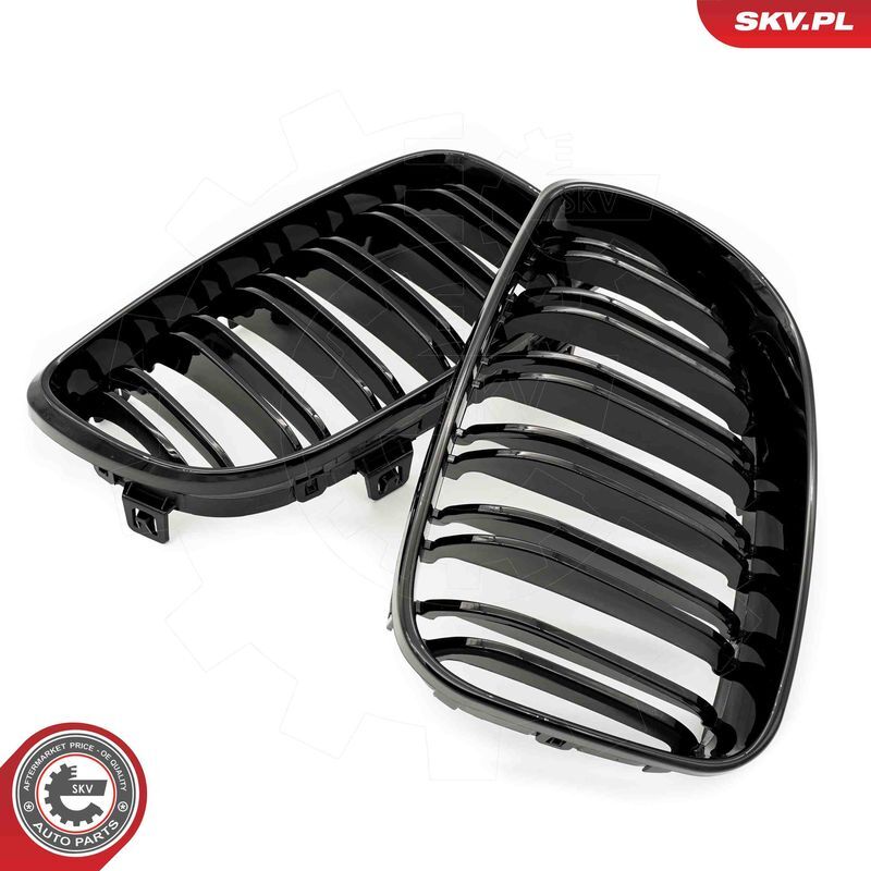 ESEN SKV, Grille de radiateur