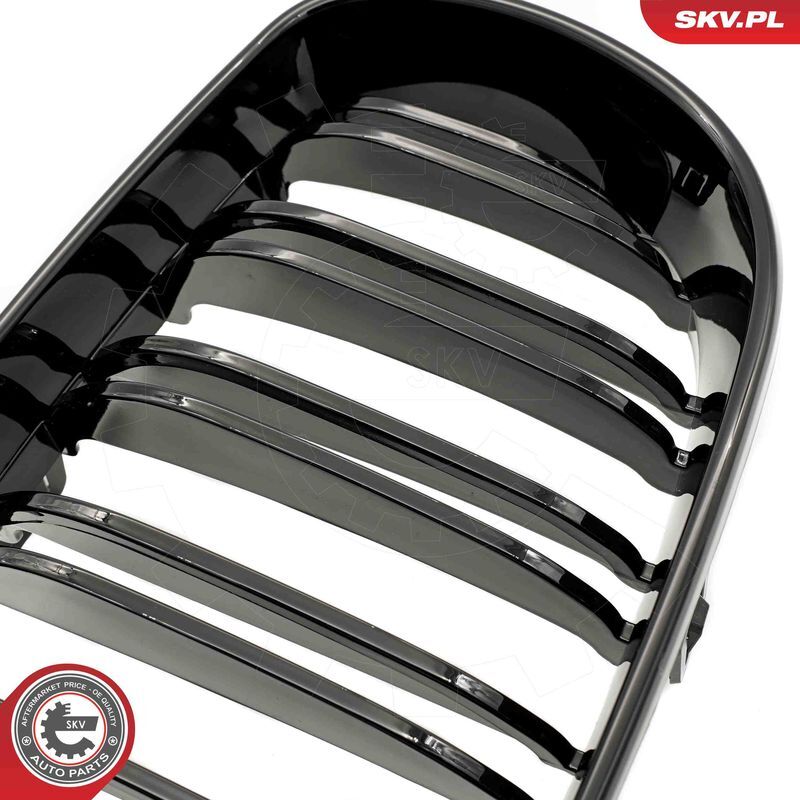 ESEN SKV, Grille de radiateur