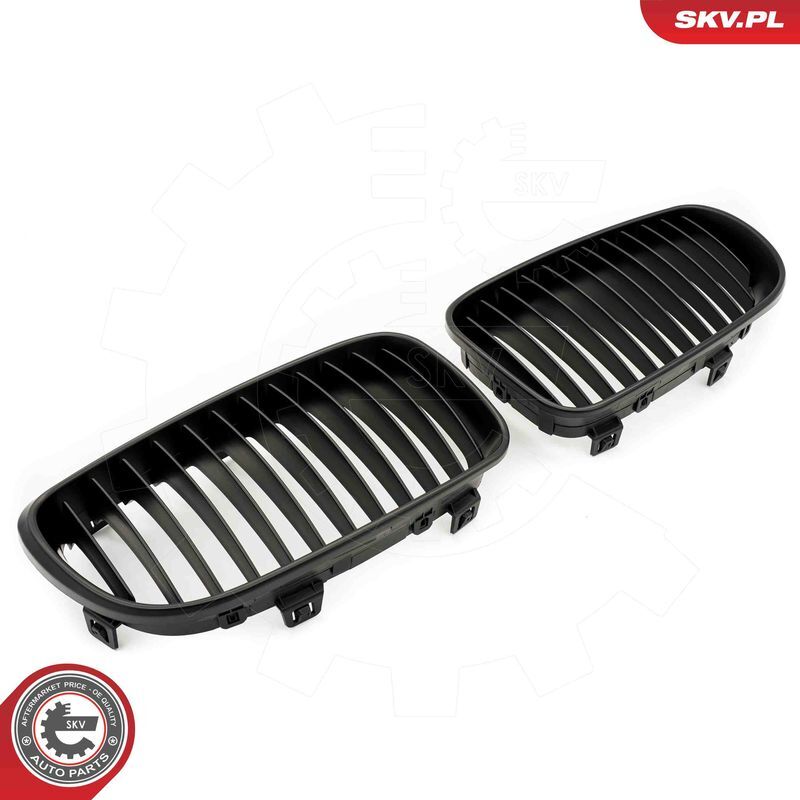 ESEN SKV, Grille de radiateur