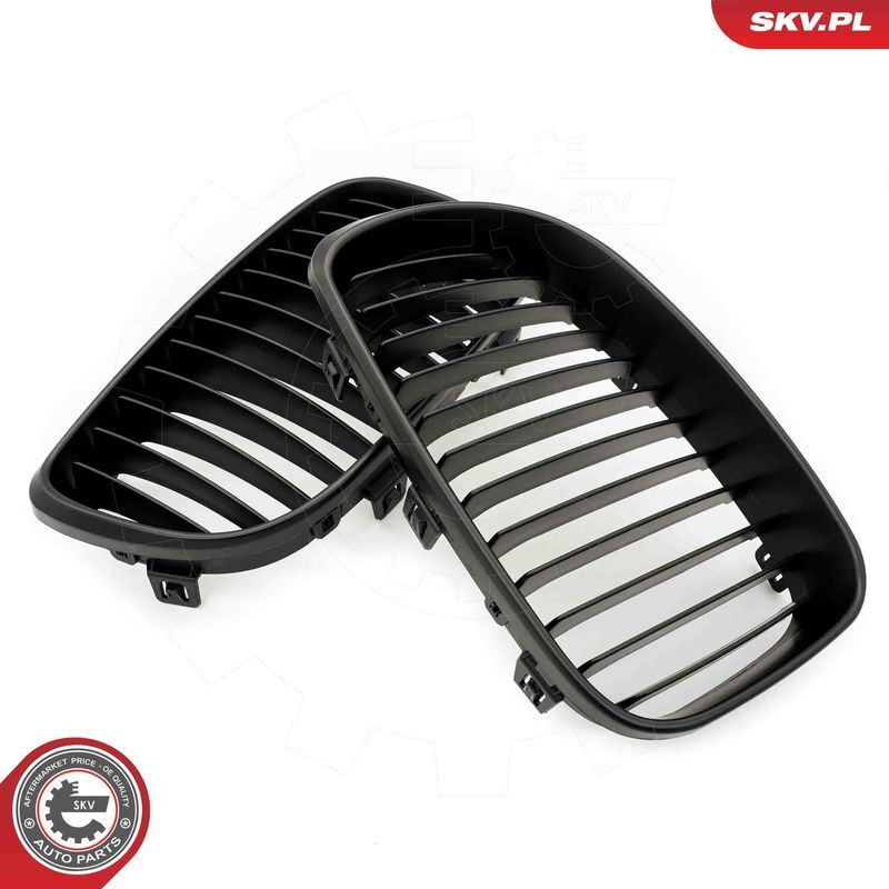 ESEN SKV, Grille de radiateur