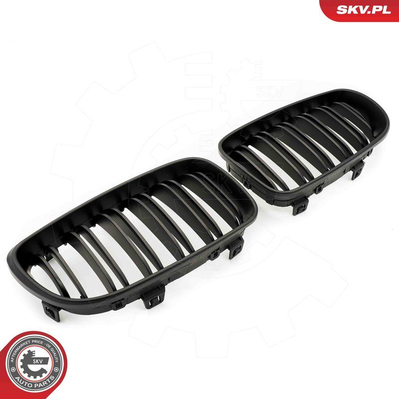 ESEN SKV, Grille de radiateur