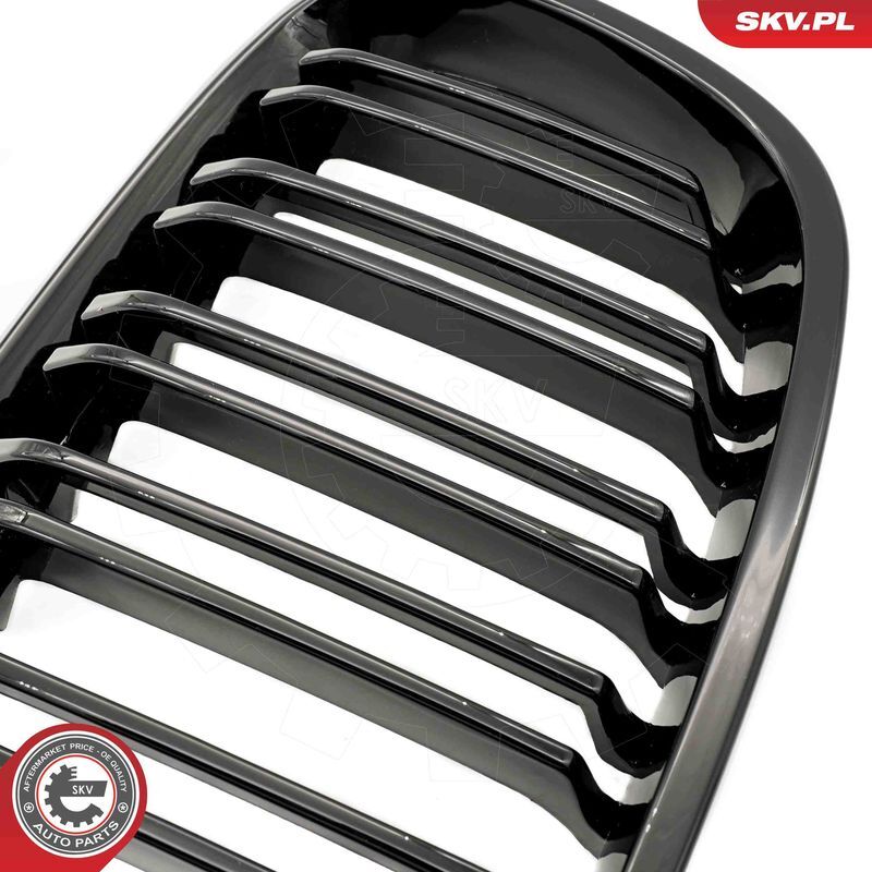 ESEN SKV, Grille de radiateur