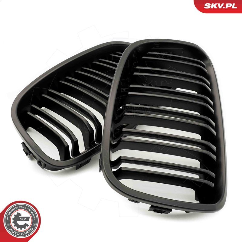 ESEN SKV, Grille de radiateur