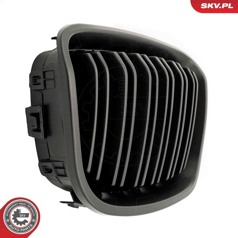 ESEN SKV, Grille de radiateur