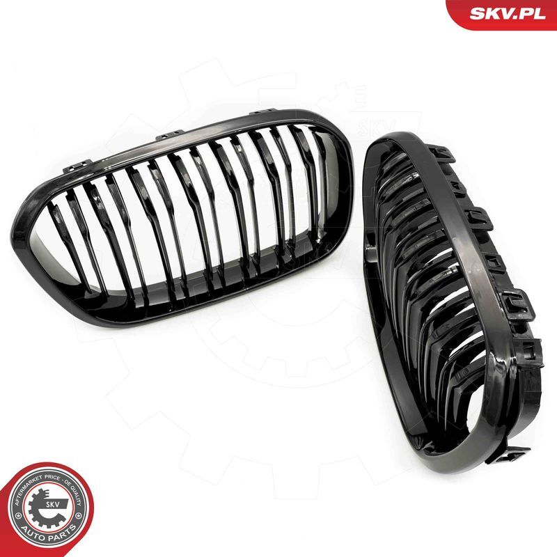 ESEN SKV, Grille de radiateur