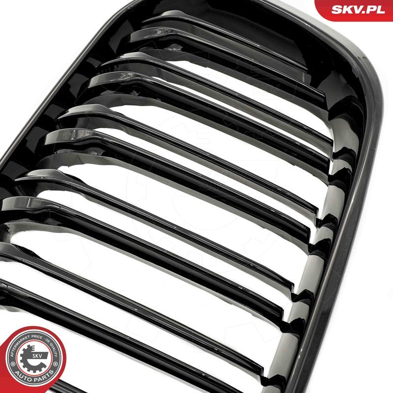 ESEN SKV, Grille de radiateur