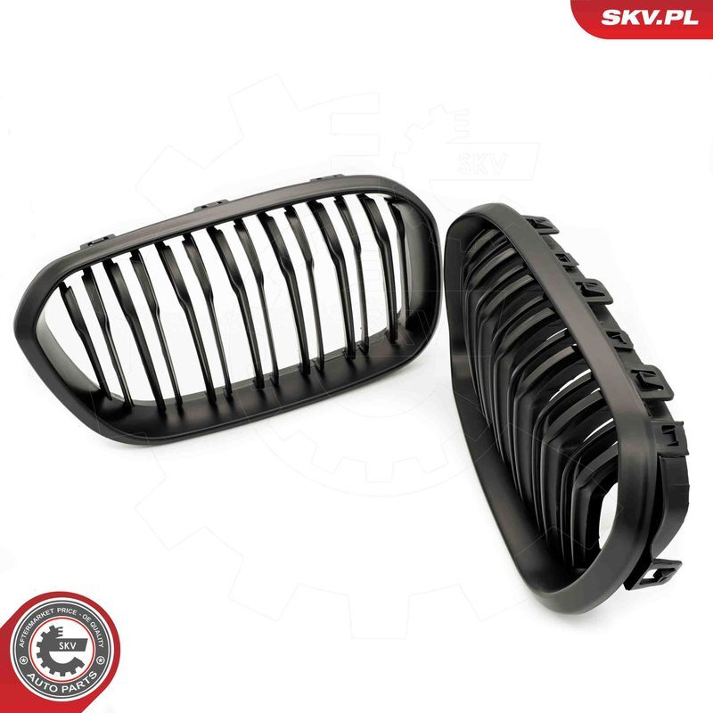 ESEN SKV, Grille de radiateur