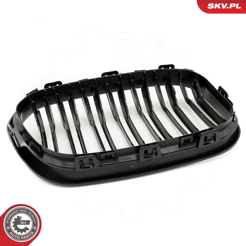 ESEN SKV, Grille de radiateur