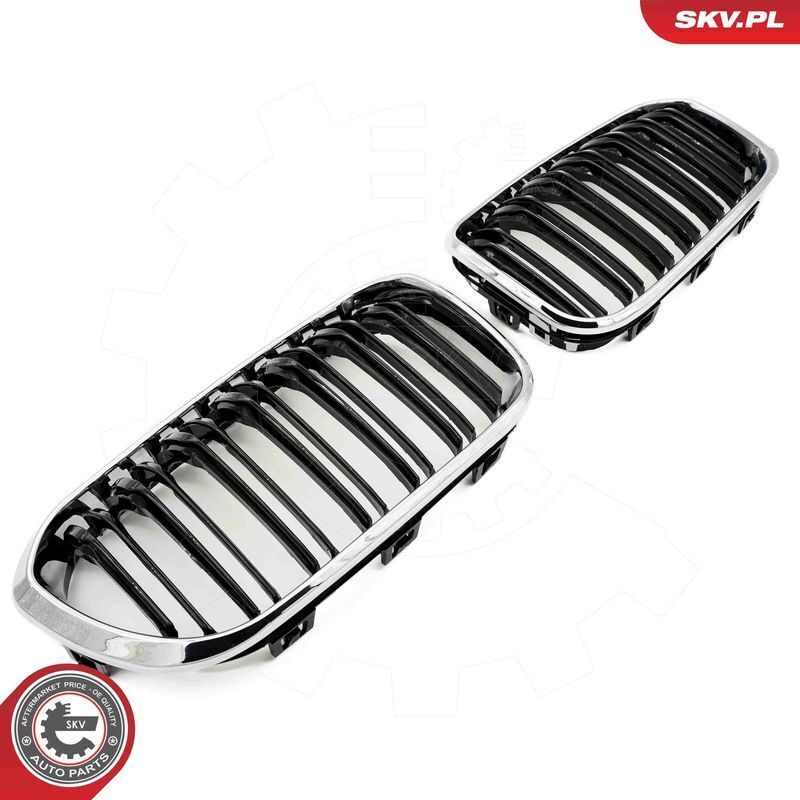 ESEN SKV, Grille de radiateur