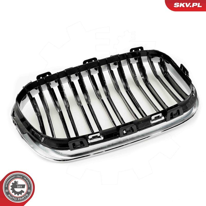 ESEN SKV, Grille de radiateur