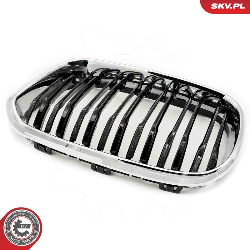 ESEN SKV, Grille de radiateur